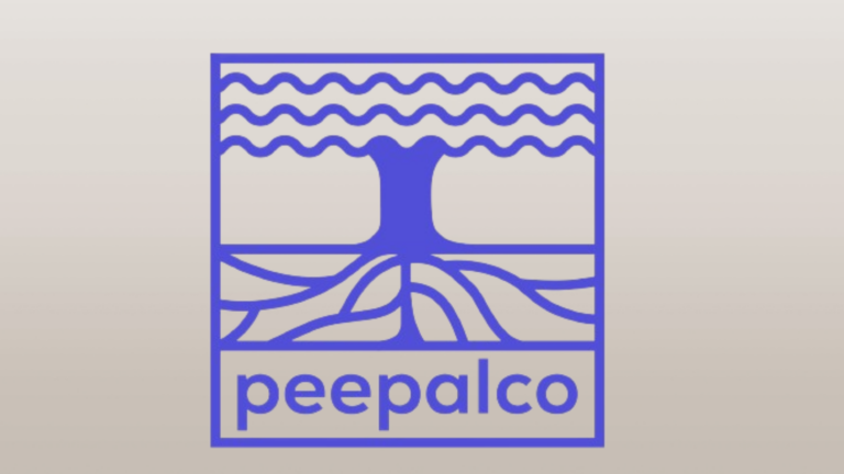 CoinSwitch announces umbrella brand PeepalCo, ahead of wealth-tech expansion