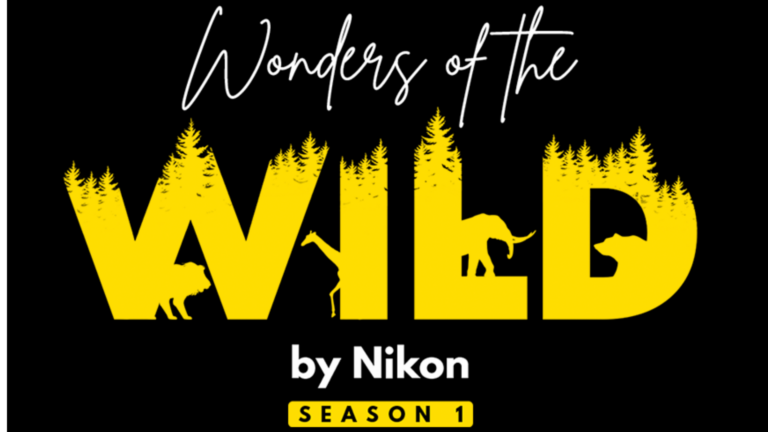 Nikon India has announced its maiden Wildlife contest - ‘Wonders of the Wild’ in collaboration with WWF- India