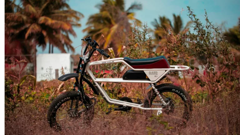 EZEE CYCLES launches 2 electric bicycle variants in Namma Bengaluru
