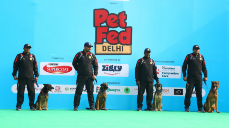 India's Biggest Pet Festival happening in PUNE for the 1st Time