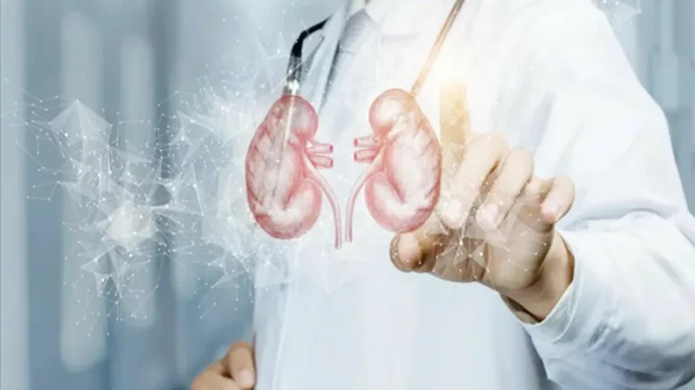 Experts Emphasize on Early Screening and Awareness as Crucial in Combatting Chronic Kidney Disease at the Kidney Care Summit