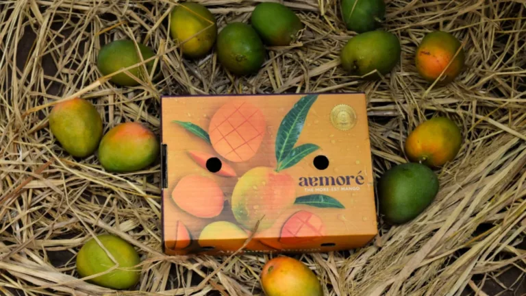 300 smallholder farmers from Ratnagiri come together to launch Aamoré: A new way to experience Alphonso Mangoes