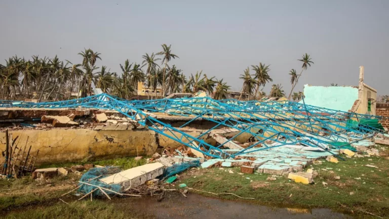 Revitalizing Puri: SEEDS' Strategic Response to Cyclone Fani's Devastation
